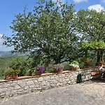 Villa Il Poggetto A Vescinino *